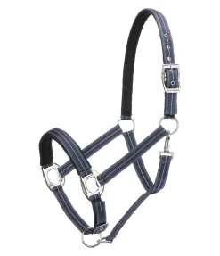 Licol Swiss Design II