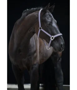 Licol Swiss Design II