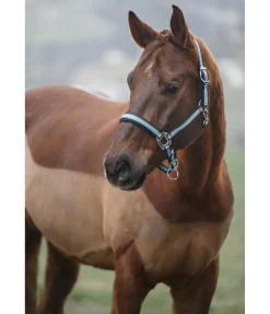 Licol Swiss Design II