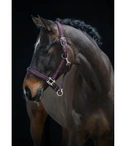 Licol Swiss Design II