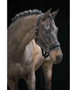 Licol Velvet Twinkle