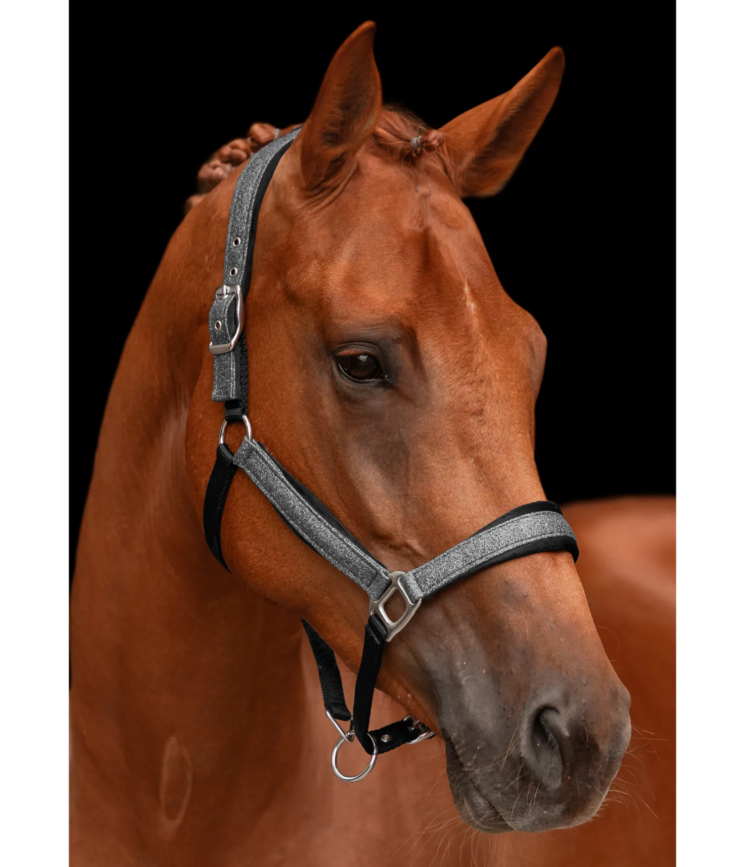 Licol Velvet Twinkle