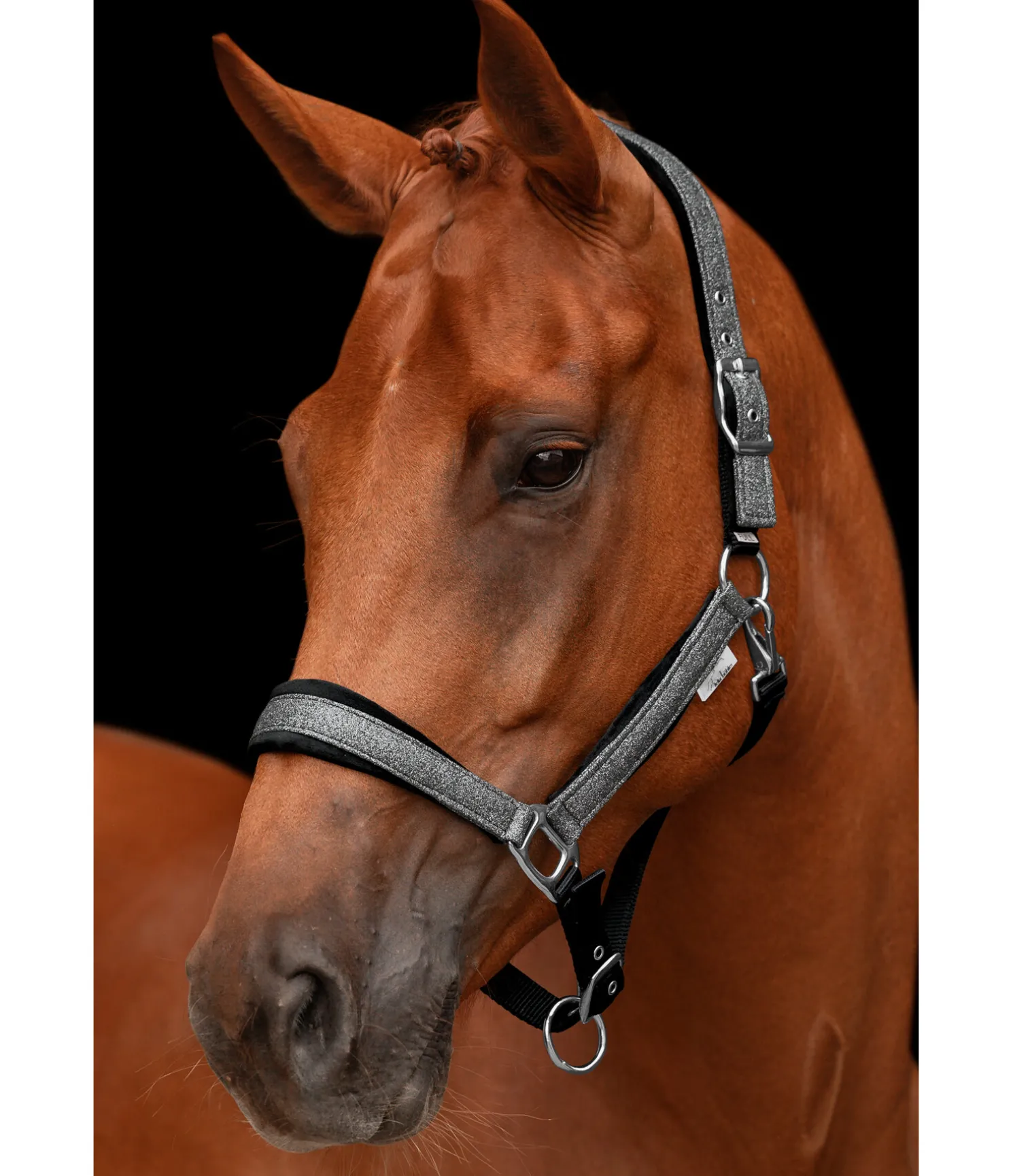 Licol Velvet Twinkle