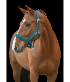 Licol anatomique Relaxation