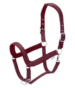 Licol anatomique Relaxation