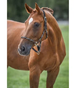 Licol anatomique Sophistication