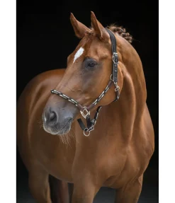 Licol anatomique Sophistication