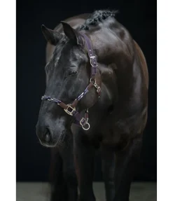 Licol anatomique Sophistication