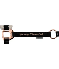 Licol avec polaire Teddy Better Together