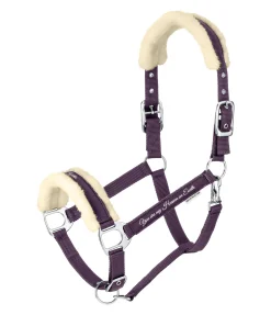 Licol avec polaire Teddy Better Together