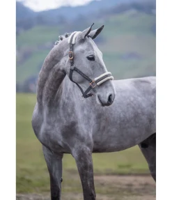 Licol avec polaire Teddy Better Together