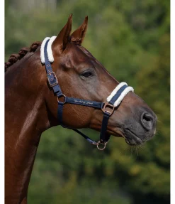 Licol avec polaire Teddy Better Together