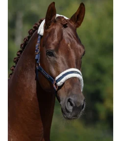 Licol avec polaire Teddy Better Together