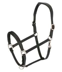 Licol en cuir Anatomical