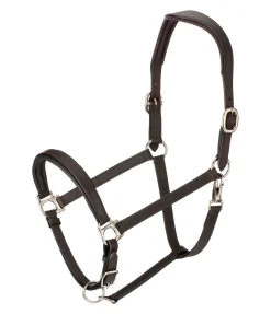 Licol en cuir Anatomical