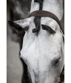 Licol en cuir Anatomical