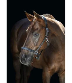 Licol en cuir Stitch