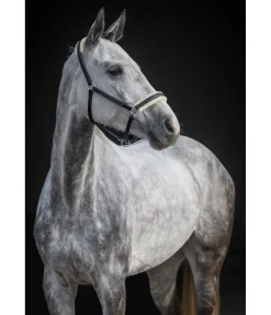 Licol en cuir avec polaire Teddy Stitch