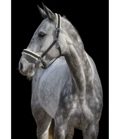 Licol en cuir avec polaire Teddy Stitch