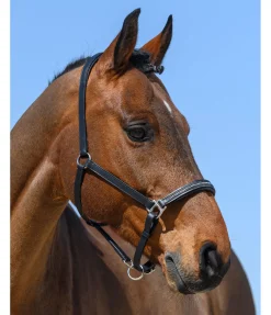 Licol en cuir orné de strass Selina