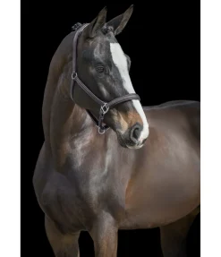 Licol en cuir synthétique SYLKA Animal Friendly