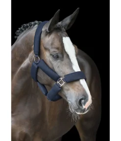 Licol en mesh Airflow