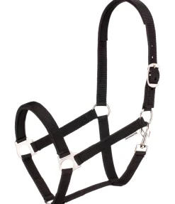 Licol en nylon à prix cassé II