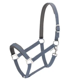 Licol en nylon à prix cassé II