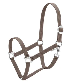 Licol en nylon à prix cassé