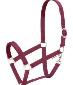 Licol en nylon à prix cassé II