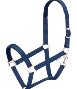 Licol en nylon à prix cassé II