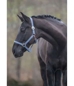 Licol en nylon à prix cassé