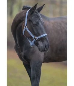 Licol en nylon à prix cassé