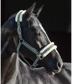 Licol en polaire Teddy Essential II