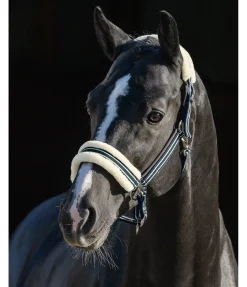 Licol en polaire Teddy Essential II