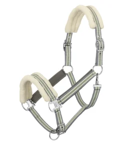 Licol en polaire Teddy Essential II