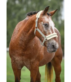 Licol en polaire Teddy Essential II