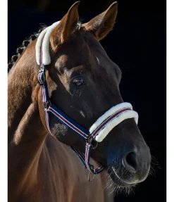 Licol en polaire Teddy Essential II