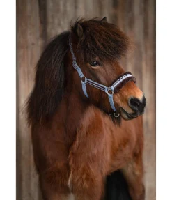 Licol en polaire Teddy Norway Spirit