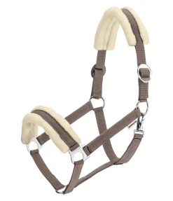 Licol en polaire Teddy à prix cassé III