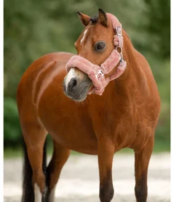 Licol en polaire Teddy Protection