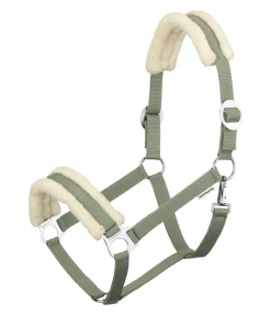 Licol en polaire Teddy à prix cassé III