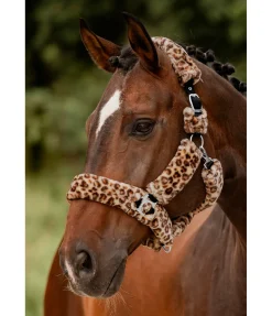 Licol en polaire Teddy Protection