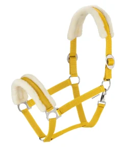 Licol en polaire Teddy à prix cassé III