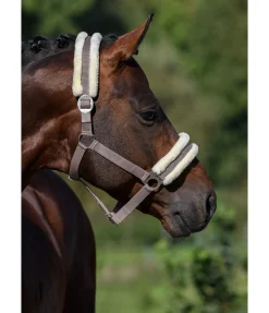 Licol en polaire Teddy à prix cassé III