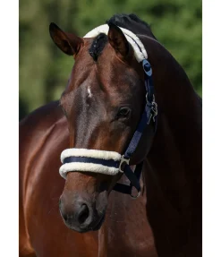 Licol en polaire Teddy à prix cassé III