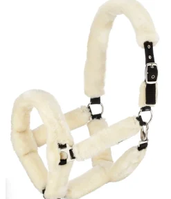 Licol en polaire Teddy Protection