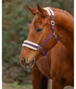 Licol en polaire Teddy à prix cassé III