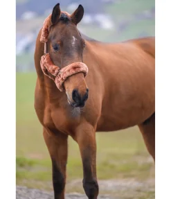 Licol en polaire Teddy Protection