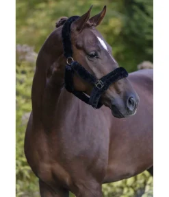 Licol en polaire Teddy Protection